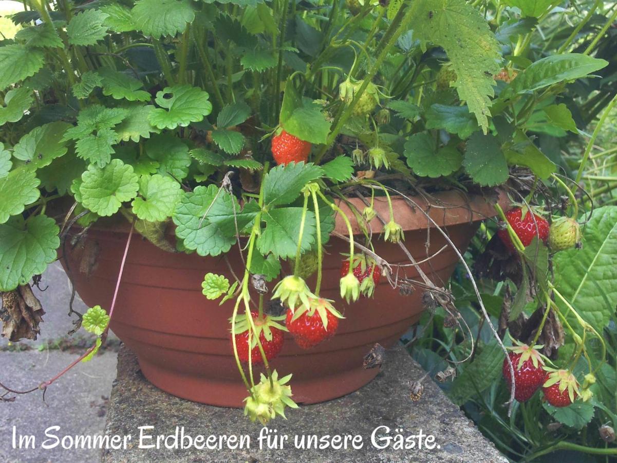 Ferienwohnung Am Ellerbach Hessisch Oldendorf Екстериор снимка